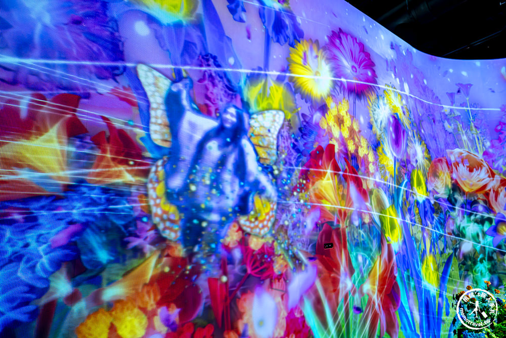 台北展覽|𝐍𝐀𝐊𝐄𝐃 𝐅𝐋𝐎𝐖𝐄𝐑𝐒 花之舞光影展|沉浸式花園探險 一窺神秘花朵微觀世界(展期.門票.周邊商品)