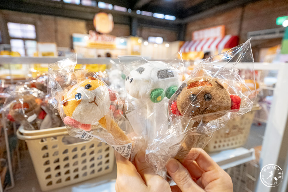 快閃店》PUI PUI天竺鼠車車(免門票)│期間限定開車囉！你還沒上車嗎？(展期.看點.商品價格)