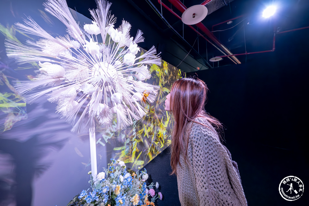 台北展覽|𝐍𝐀𝐊𝐄𝐃 𝐅𝐋𝐎𝐖𝐄𝐑𝐒 花之舞光影展|沉浸式花園探險 一窺神秘花朵微觀世界(展期.門票.周邊商品)