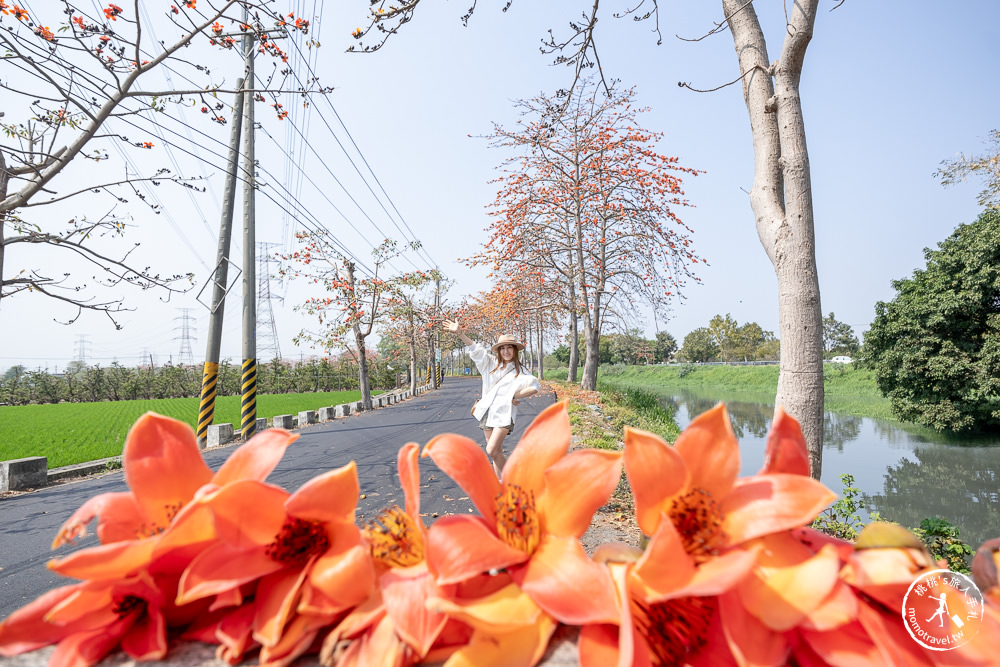 彰化埤頭景點|埤頭木棉花道-東螺溪綠色隧道賞花秘境段|木棉花季時間.花況花期.交通停車.相關介紹