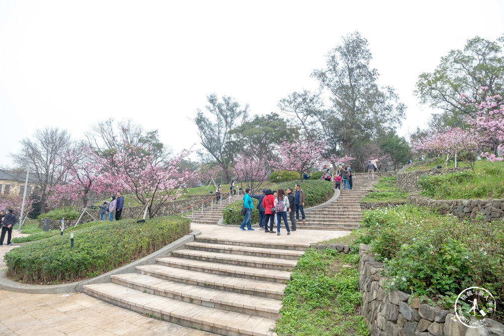 新竹市東區景點|新竹公園櫻花季|最新賞櫻花況|停車資訊.賞花拍照點.詳細介紹