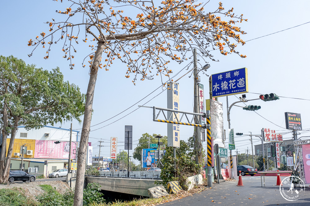 彰化埤頭景點|埤頭木棉花道-東螺溪綠色隧道賞花秘境段|木棉花季時間.花況花期.交通停車.相關介紹