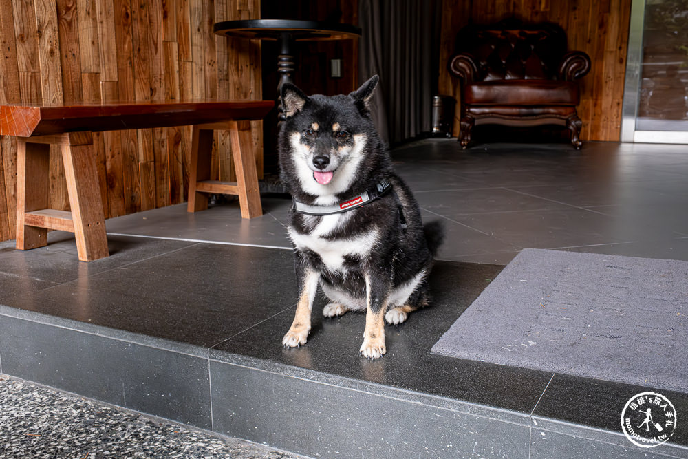 2023第六屆TSCA金杯咖啡競賽&咖啡嘉年華市集|金杯獎肯定.發現城市好咖啡.臺北20大必喝咖啡推薦 - 第13張圖 2023第六屆TSCA金杯咖啡競賽&咖啡嘉年華市集|金杯獎肯定.發現城市好咖啡.臺北20大必喝咖啡推薦