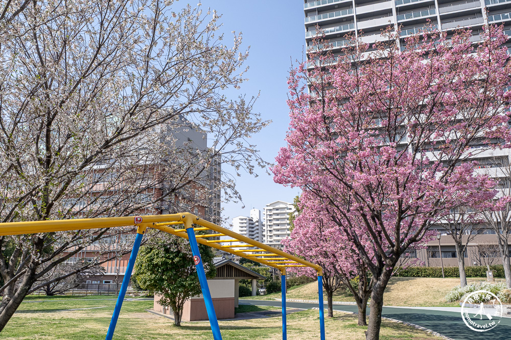 東京賞櫻景點|汐入公園-沿著隅田川漫步-粉嫩櫻花與東京晴空塔同框的絕美拍照點推薦
東京賞櫻景點|汐入公園-沿著隅田川漫步-粉嫩櫻花與東京晴空塔同框的絕美拍照點推薦