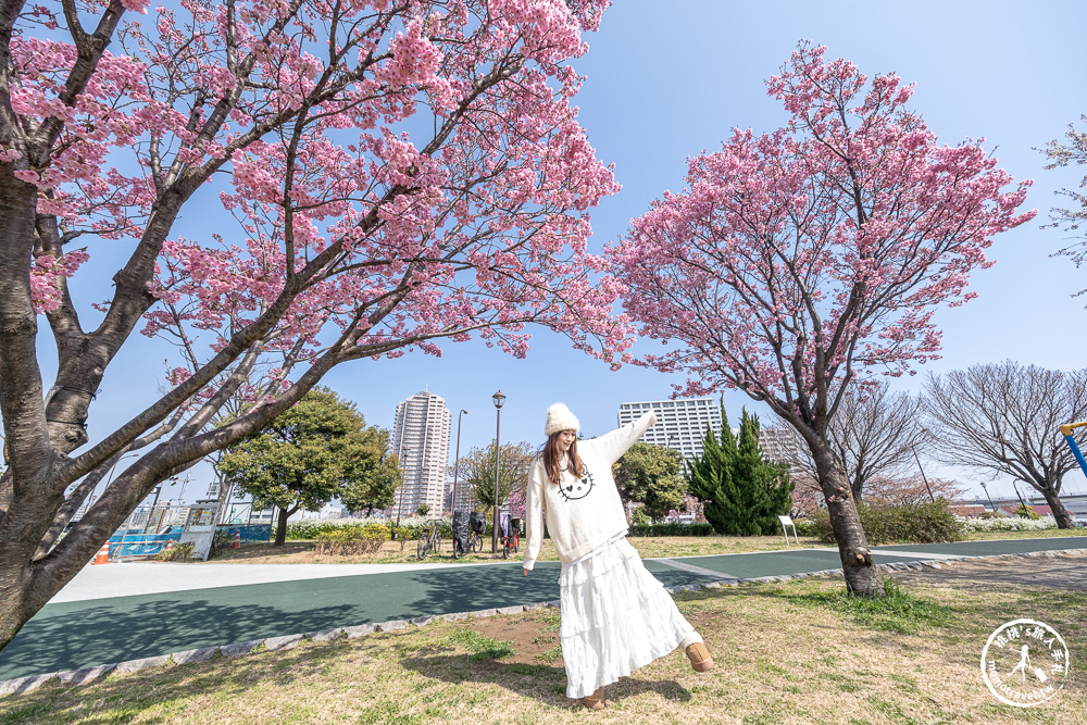 東京賞櫻景點|汐入公園-沿著隅田川漫步-粉嫩櫻花與東京晴空塔同框的絕美拍照點推薦
東京賞櫻景點|汐入公園-沿著隅田川漫步-粉嫩櫻花與東京晴空塔同框的絕美拍照點推薦