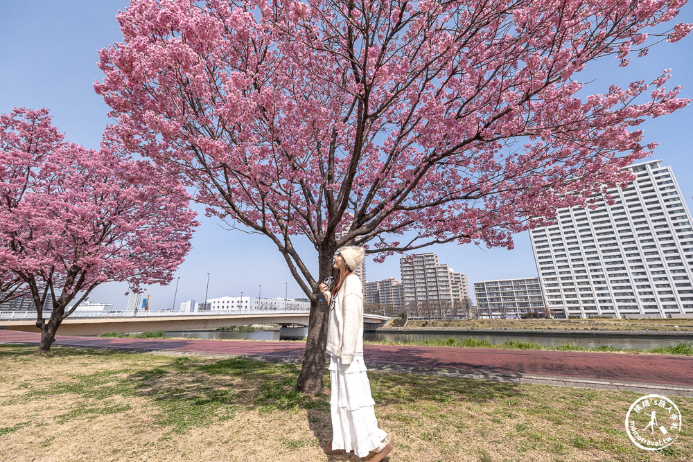 東京賞櫻景點|汐入公園-沿著隅田川漫步-粉嫩櫻花與東京晴空塔同框的絕美拍照點推薦
東京賞櫻景點|汐入公園-沿著隅田川漫步-粉嫩櫻花與東京晴空塔同框的絕美拍照點推薦