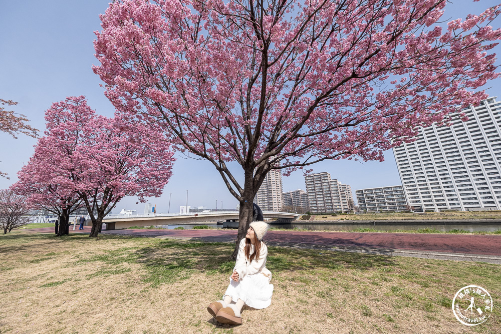 東京賞櫻景點|汐入公園-沿著隅田川漫步-粉嫩櫻花與東京晴空塔同框的絕美拍照點推薦
東京賞櫻景點|汐入公園-沿著隅田川漫步-粉嫩櫻花與東京晴空塔同框的絕美拍照點推薦