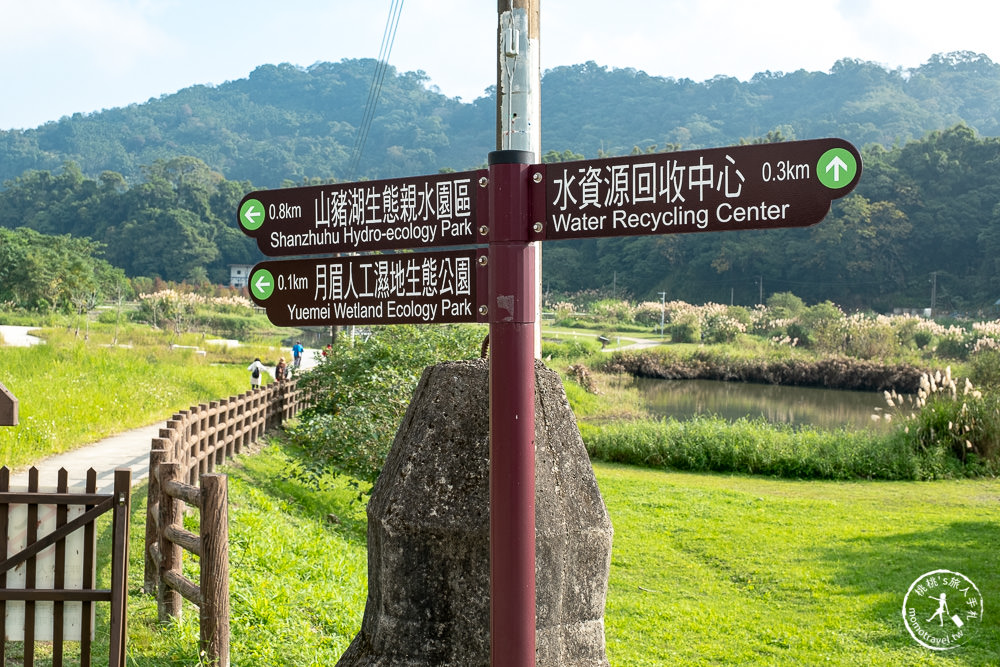 桃園大溪景點|月眉人工濕地生態公園|落羽松秘境環湖步道 水中倒影美拍推薦