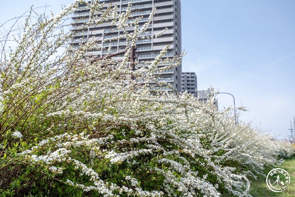 東京賞櫻景點|汐入公園-沿著隅田川漫步-粉嫩櫻花與東京晴空塔同框的絕美拍照點推薦
東京賞櫻景點|汐入公園-沿著隅田川漫步-粉嫩櫻花與東京晴空塔同框的絕美拍照點推薦