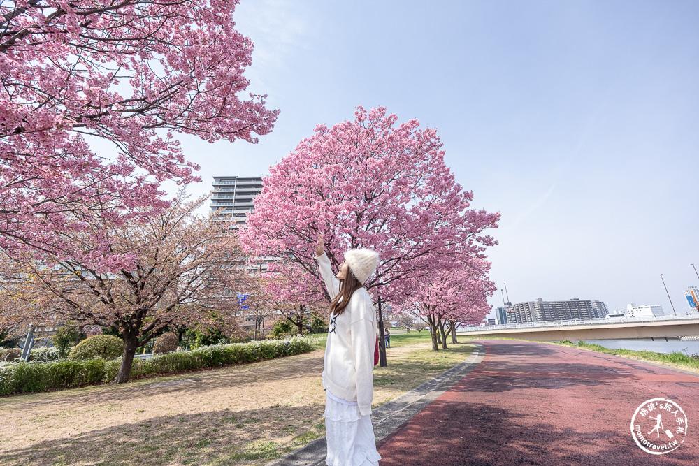 東京賞櫻景點|汐入公園-沿著隅田川漫步-粉嫩櫻花與東京晴空塔同框的絕美拍照點推薦
東京賞櫻景點|汐入公園-沿著隅田川漫步-粉嫩櫻花與東京晴空塔同框的絕美拍照點推薦