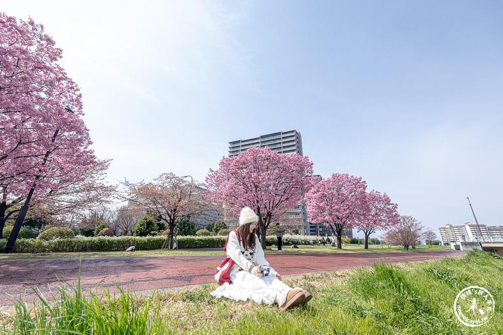 東京賞櫻景點|汐入公園-沿著隅田川漫步-粉嫩櫻花與東京晴空塔同框的絕美拍照點推薦
東京賞櫻景點|汐入公園-沿著隅田川漫步-粉嫩櫻花與東京晴空塔同框的絕美拍照點推薦