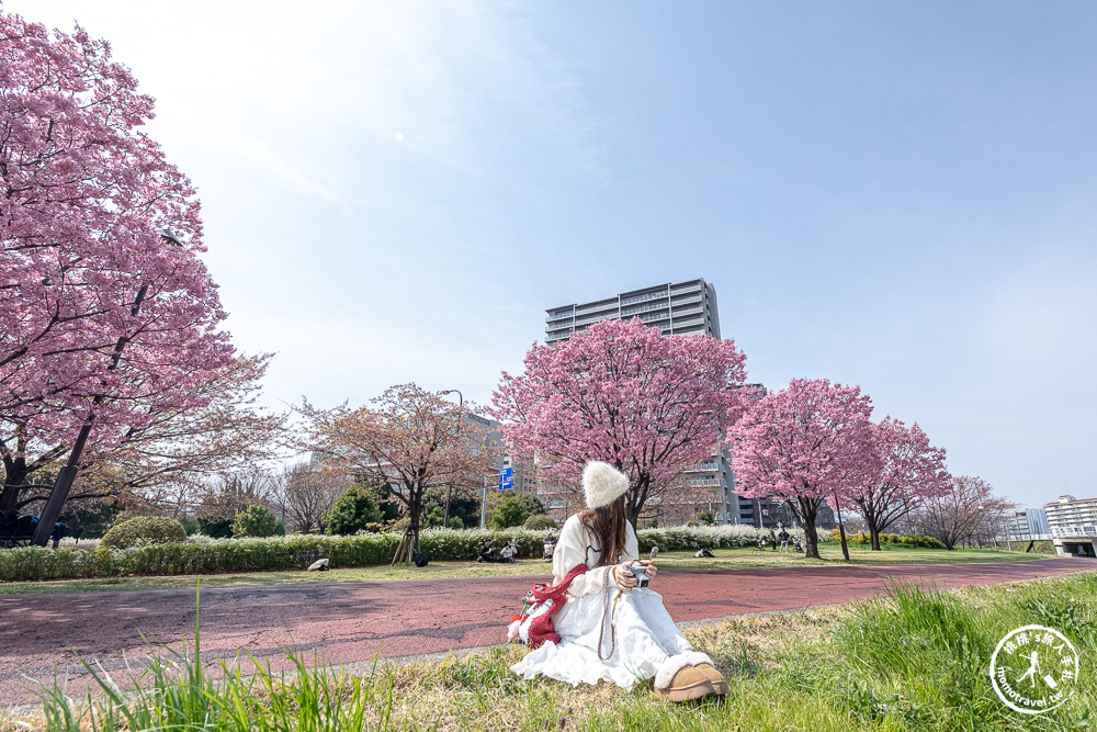 東京賞櫻景點|汐入公園-沿著隅田川漫步-粉嫩櫻花與東京晴空塔同框的絕美拍照點推薦
東京賞櫻景點|汐入公園-沿著隅田川漫步-粉嫩櫻花與東京晴空塔同框的絕美拍照點推薦