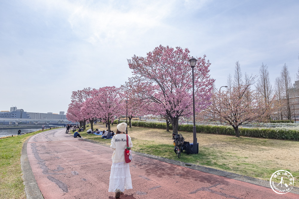 東京賞櫻景點|汐入公園-沿著隅田川漫步-粉嫩櫻花與東京晴空塔同框的絕美拍照點推薦
東京賞櫻景點|汐入公園-沿著隅田川漫步-粉嫩櫻花與東京晴空塔同框的絕美拍照點推薦
