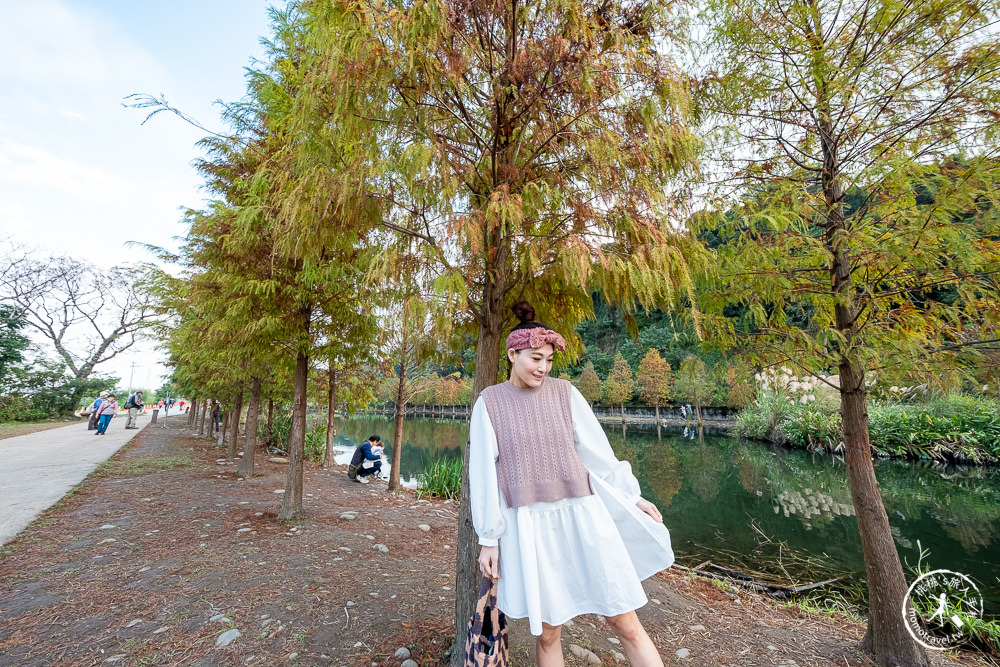 桃園大溪景點|月眉人工濕地生態公園|落羽松秘境環湖步道 水中倒影美拍推薦