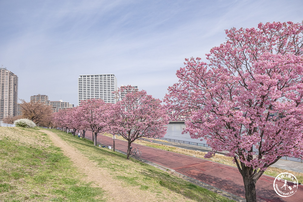 東京賞櫻景點|汐入公園-沿著隅田川漫步-粉嫩櫻花與東京晴空塔同框的絕美拍照點推薦
東京賞櫻景點|汐入公園-沿著隅田川漫步-粉嫩櫻花與東京晴空塔同框的絕美拍照點推薦