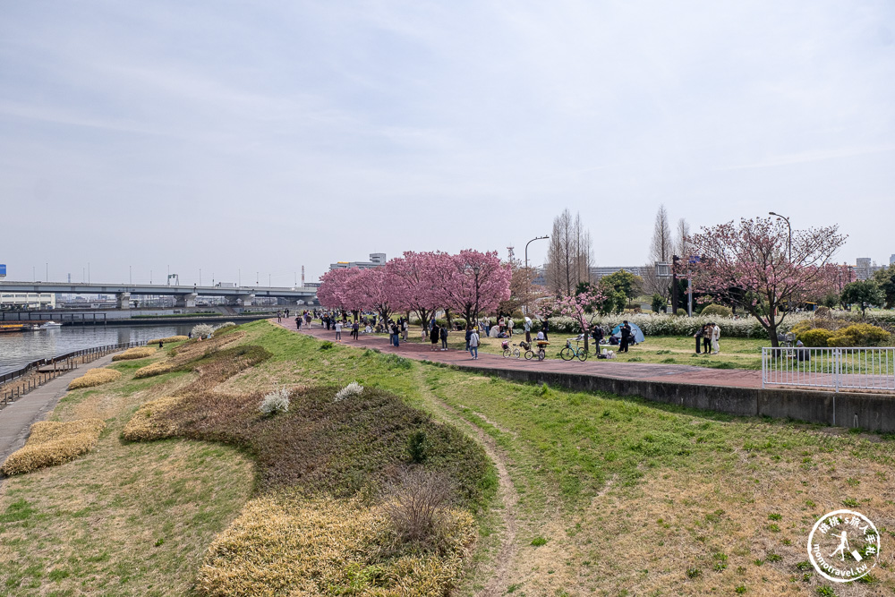東京賞櫻景點|汐入公園-沿著隅田川漫步-粉嫩櫻花與東京晴空塔同框的絕美拍照點推薦
東京賞櫻景點|汐入公園-沿著隅田川漫步-粉嫩櫻花與東京晴空塔同框的絕美拍照點推薦