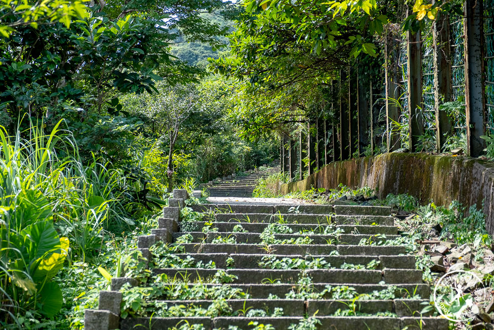 新北瑞芳景點》金瓜石黃金神社│步道鳥居石燈籠 重現百年遺跡