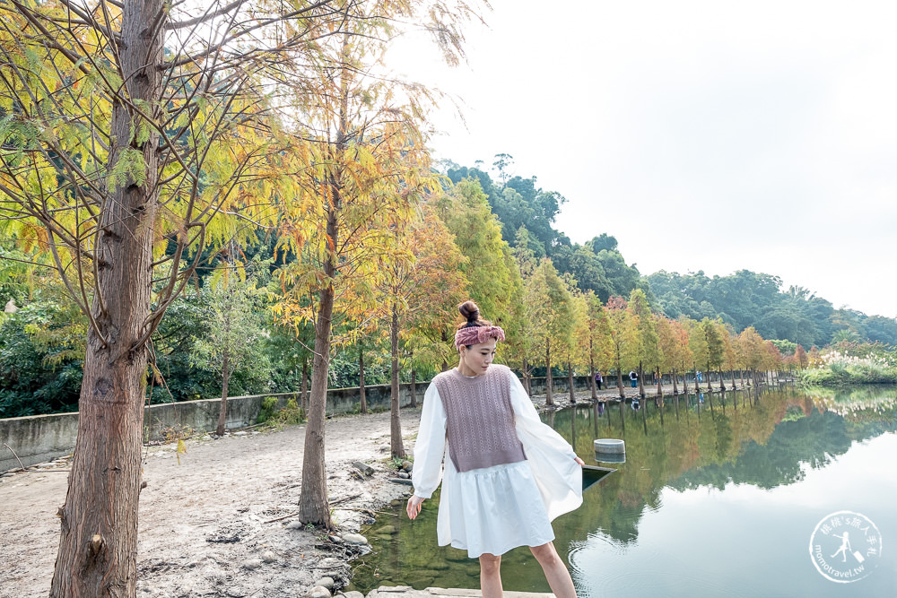 桃園大溪景點|月眉人工濕地生態公園|落羽松秘境環湖步道 水中倒影美拍推薦