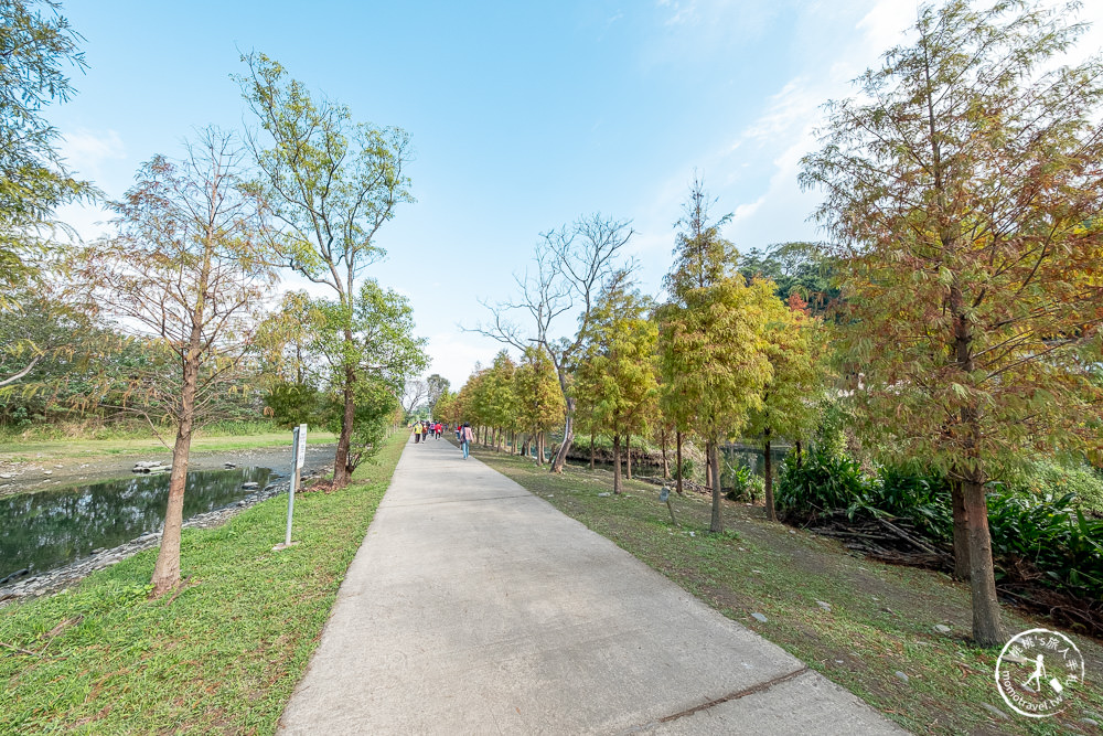 桃園大溪景點|月眉人工濕地生態公園|落羽松秘境環湖步道 水中倒影美拍推薦