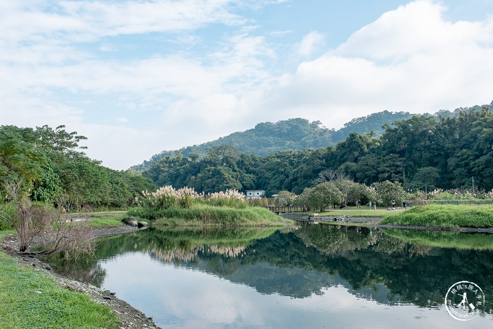 桃園大溪景點|月眉人工濕地生態公園|落羽松秘境環湖步道 水中倒影美拍推薦