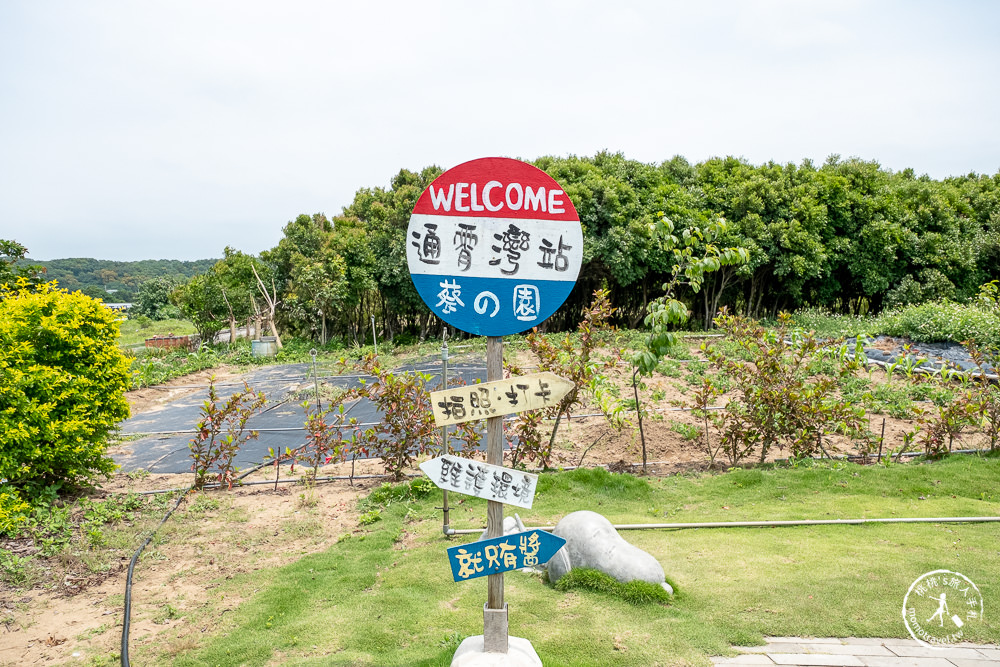 苗栗通霄景點|龍貓公車站(免門票)|西濱旁小路隱藏版打卡景點