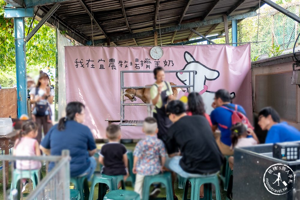 宜蘭冬山景點》宜農牧場│誠實門票30元自己投.餵羊.擠羊奶.DIY體驗.免費停車