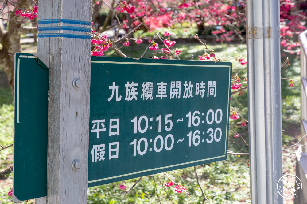 南投魚池景點|九族櫻花祭九族文化村10個最佳賞櫻景點|最新賞櫻花況.門票優惠.花季時間.賞花拍照點介紹