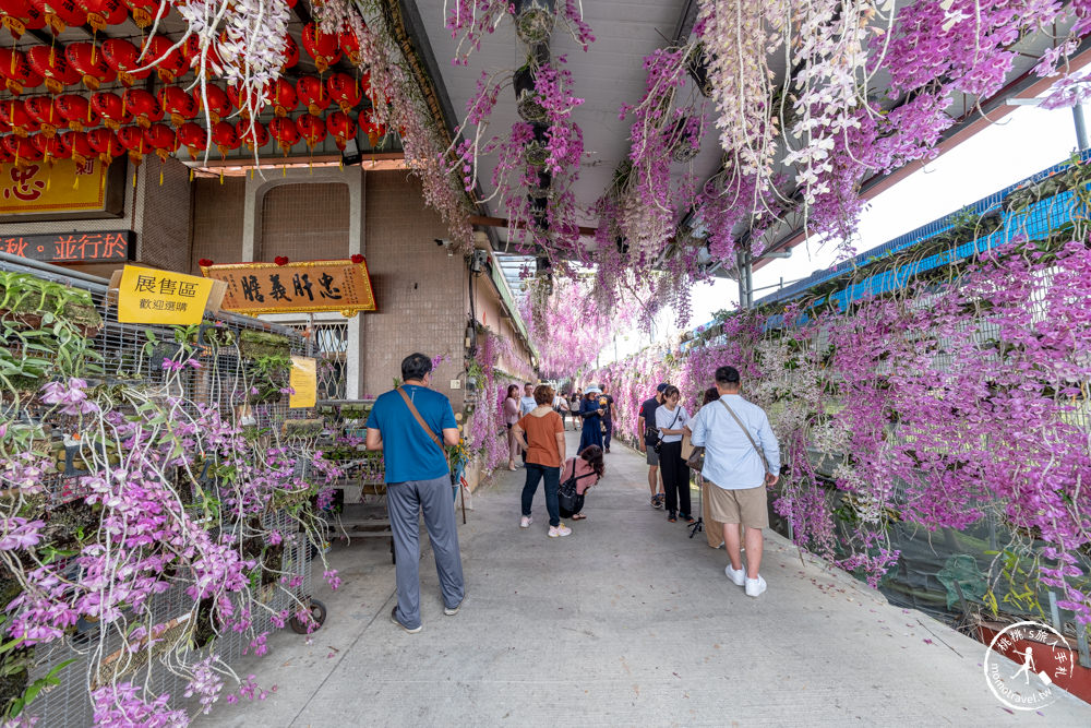 雲林莿桐景點|忠雲宮 石斛蘭瀑布隧道花牆|花期花況.交通停車