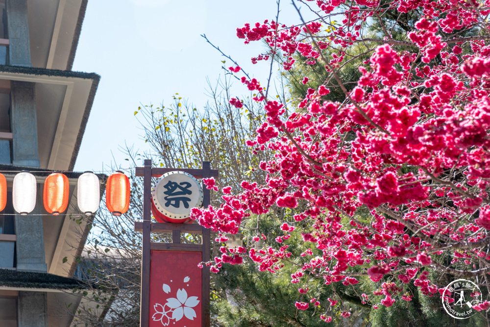 南投魚池景點|九族櫻花祭九族文化村10個最佳賞櫻景點|最新賞櫻花況.門票優惠.花季時間.賞花拍照點介紹