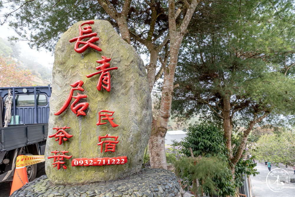 嘉義竹崎景點|長青居民宿紫藤花花況滿開|阿里山最美石棹茶園紫藤花景點推薦