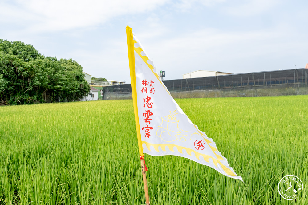 雲林莿桐景點|忠雲宮 石斛蘭瀑布隧道花牆|花期花況.交通停車