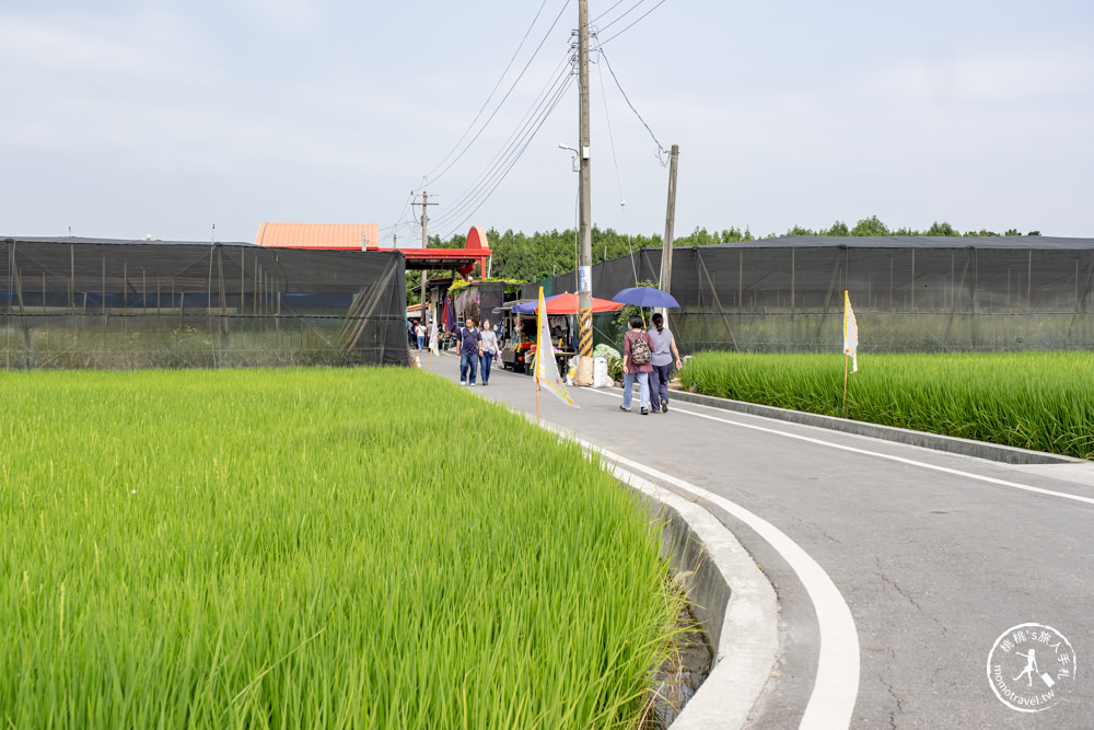 雲林莿桐景點|忠雲宮 石斛蘭瀑布隧道花牆|花期花況.交通停車