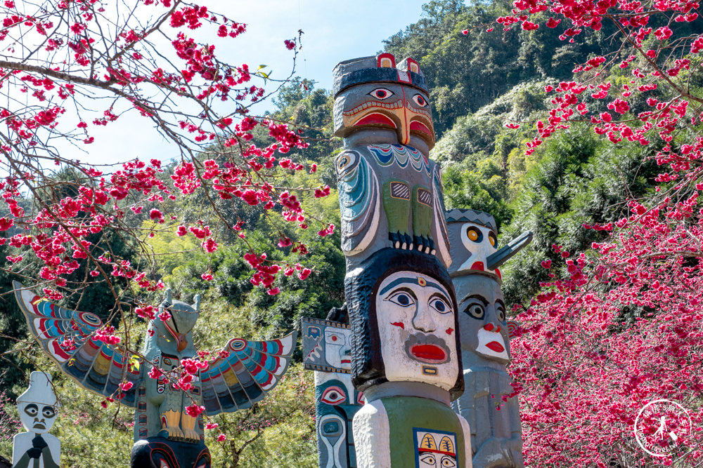 南投魚池景點|九族櫻花祭九族文化村10個最佳賞櫻景點|最新賞櫻花況.門票優惠.花季時間.賞花拍照點介紹