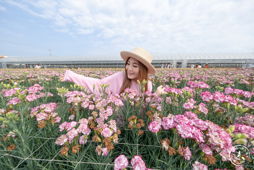 彰化田尾景點|董家花田 康乃馨花季|母親節就帶媽媽來拍美照|交通停車.門票菜單.寵物友善