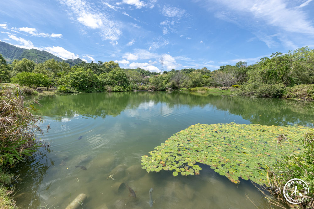 苗栗獅潭小旅行|獅潭一日遊.半日遊景點美食推薦|客庄.仙草.古道.老街-探索苗栗仙境之旅