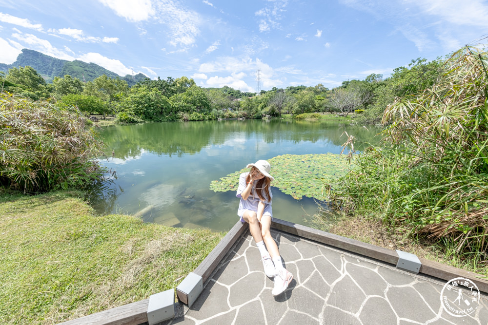 苗栗獅潭小旅行|獅潭一日遊.半日遊景點美食推薦|客庄.仙草.古道.老街-探索苗栗仙境之旅