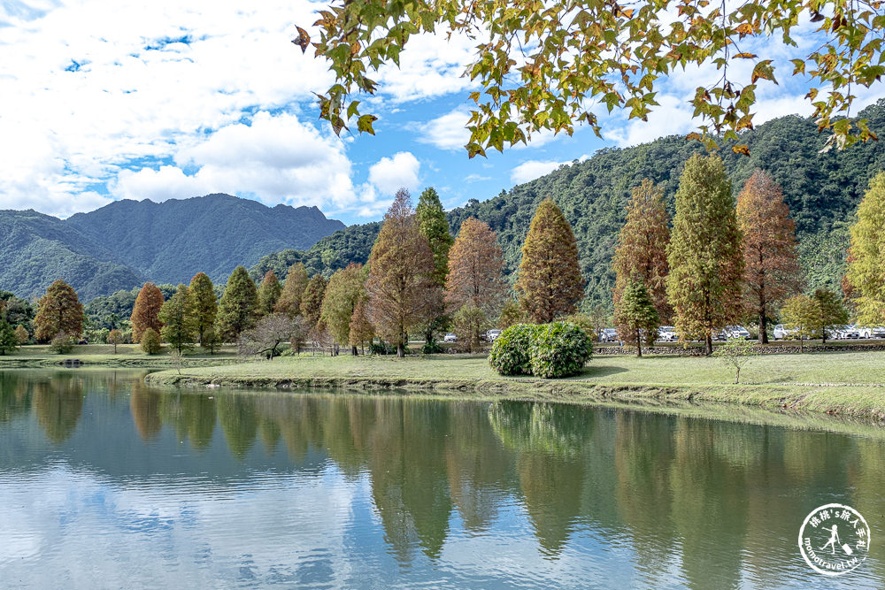 宜蘭員山景點|蜊埤湖畔落羽松-寧靜唯美的湖光山色秘境|落羽松季節.交通停車資訊