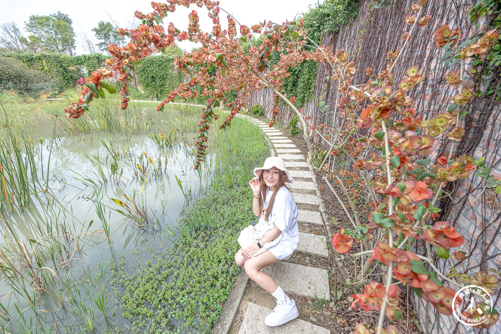 台南後壁景點|雅聞湖濱療癒森林－南台灣最大歐風玫瑰花園免費參觀