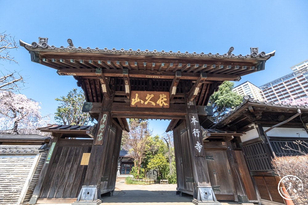 東京賞櫻景點|本行寺-優美的枝垂櫻穿越500年的寧靜-JR日暮里-近谷中商店街