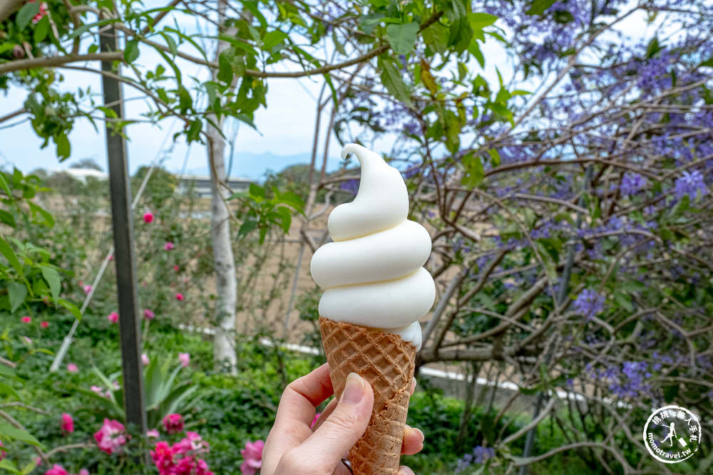 台南後壁景點|雅聞湖濱療癒森林－南台灣最大歐風玫瑰花園免費參觀