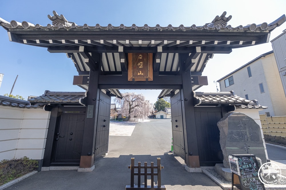 東京賞櫻景點|長明寺-令人驚嘆的枝垂櫻花瀑布-JR日暮里-近谷中商店街