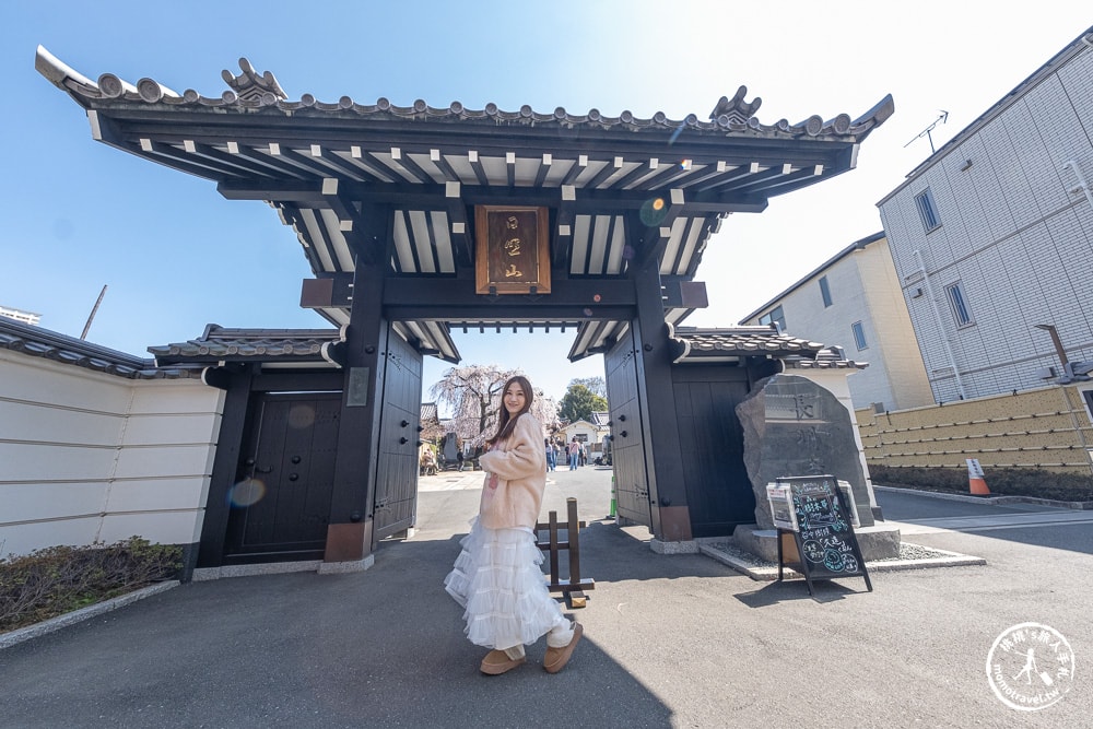 東京賞櫻景點|長明寺-令人驚嘆的枝垂櫻花瀑布-JR日暮里-近谷中商店街