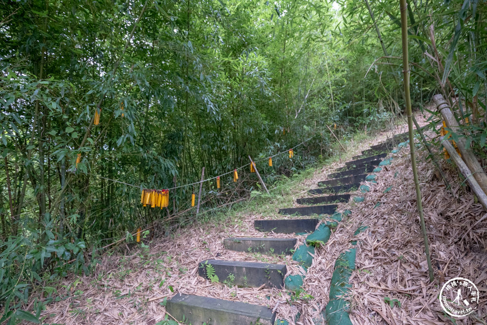 苗栗獅潭小旅行|獅潭一日遊.半日遊景點美食推薦|客庄.仙草.古道.老街-探索苗栗仙境之旅