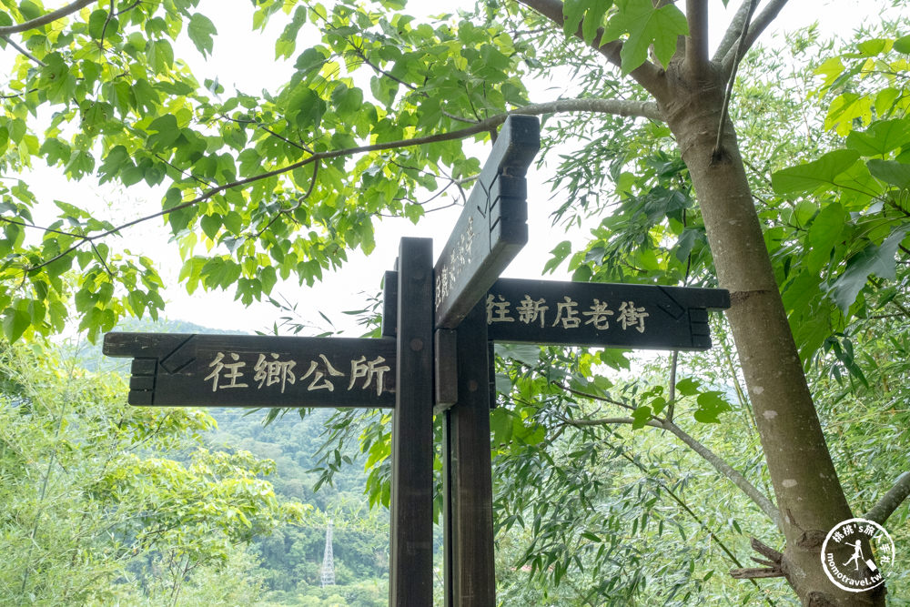 苗栗獅潭小旅行|獅潭一日遊.半日遊景點美食推薦|客庄.仙草.古道.老街-探索苗栗仙境之旅