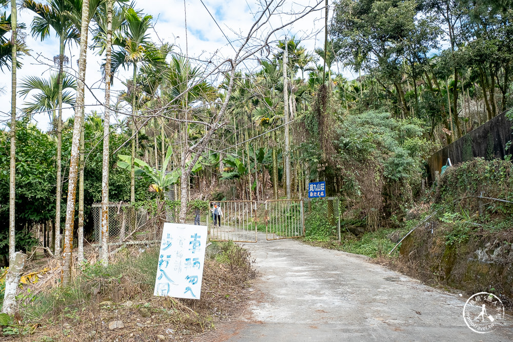 南投中寮劉家百年梅園|2022最新賞梅花花況|一期一會今年大滿開絕美秘境景點
