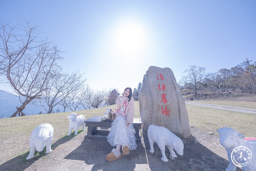 清境農場一日遊怎麼玩? 交通.門票.綿羊秀時間.必看天空步道+周邊美食景點住宿推薦完整攻略 清境農場一日遊怎麼玩? 交通.門票.綿羊秀時間.必看天空步道+周邊美食景點住宿推薦完整攻略