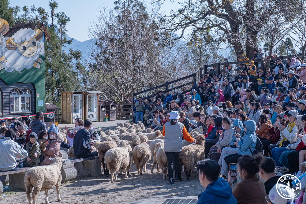 清境農場一日遊怎麼玩? 交通.門票.綿羊秀時間.必看天空步道+周邊美食景點住宿推薦完整攻略 清境農場一日遊怎麼玩? 交通.門票.綿羊秀時間.必看天空步道+周邊美食景點住宿推薦完整攻略
