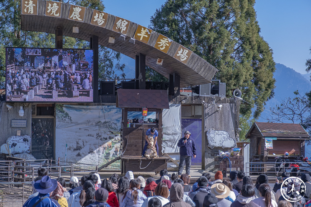 清境農場一日遊怎麼玩? 交通.門票.綿羊秀時間.必看天空步道+周邊美食景點住宿推薦完整攻略 清境農場一日遊怎麼玩? 交通.門票.綿羊秀時間.必看天空步道+周邊美食景點住宿推薦完整攻略