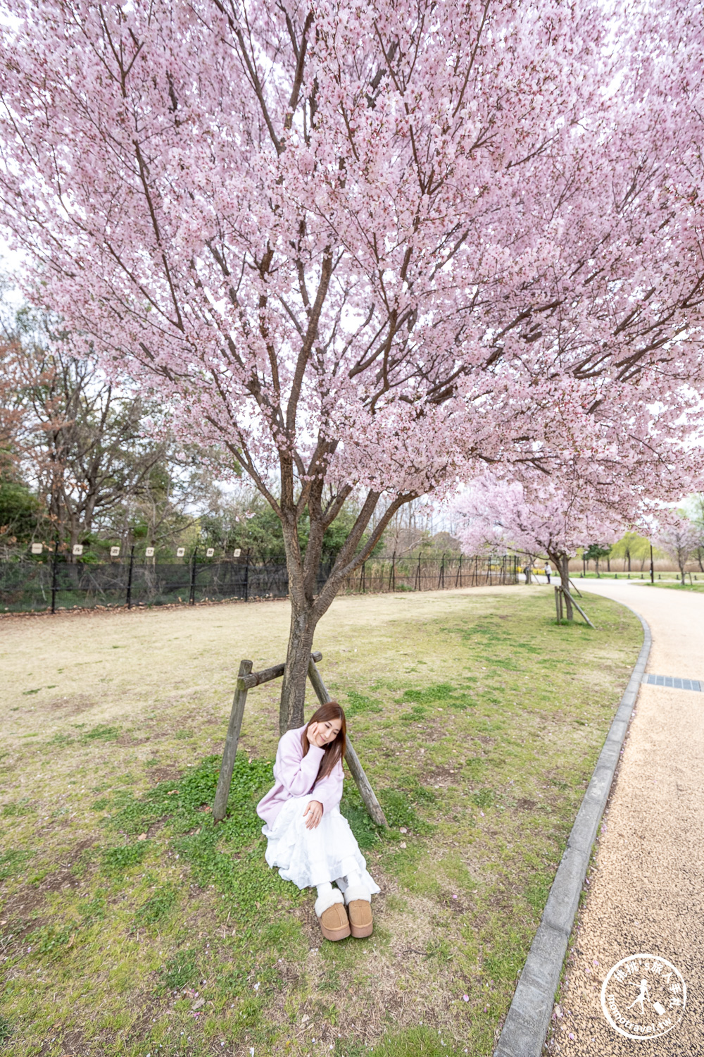 東京賞櫻景點|舍人公園-千本櫻絕美盛開！品種多元花期長 悠閒野餐推薦-日暮里舍人線櫻花秘境