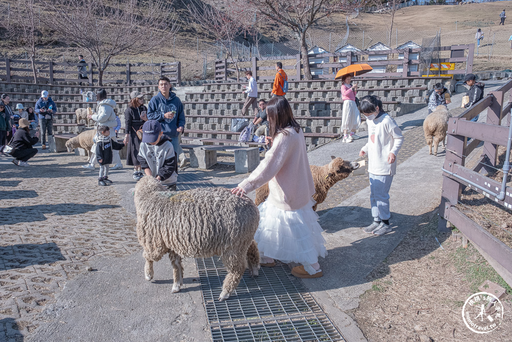 清境農場一日遊怎麼玩? 交通.門票.綿羊秀時間.必看天空步道+周邊美食景點住宿推薦完整攻略 清境農場一日遊怎麼玩? 交通.門票.綿羊秀時間.必看天空步道+周邊美食景點住宿推薦完整攻略